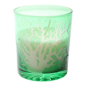 _zAEgbg^y50OFFzyő300~N[|Lz JbgOX \CLh A} CeA v[g Mtg   N[[V 