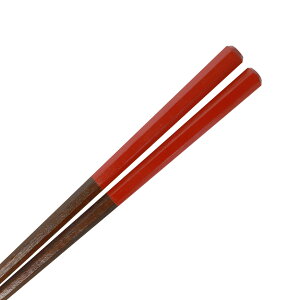  ؐ 23cm h pS ͂  {  i` VbN i 킢 _ VRؐ ɂȂ a lC 1V Pi Y v[g   ubN  bh  u