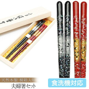 y|Cg5{ 9/25z ˔  vwZbg L 23cmE21cm iዷhj H@Ή ߂Ɣ  j v[g yA Mtg Zbg 蕨  ⍥ ސEj 