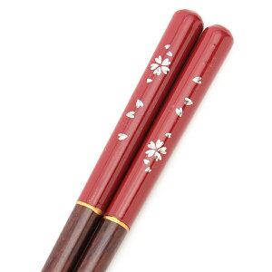 _zAEgbg^y50OFFzyP5{ 20܂Łz VRؐ  TN   23.5cm  ͂  i` Jg[ Vv p aH a l j  ig qp 