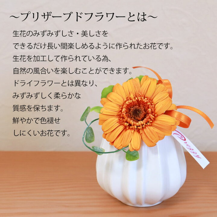 楽天市場】【LINE限定10％OFFクーポン】 プリザーブドフラワー クリア 