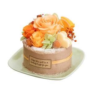 y10OFFz vU[uht[ NAP[X veBKg[ t[P[L ̓ Mtg AWg  킢 v[g o KN AWTC z ̂܂܏ j