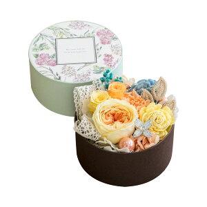 y50N[| 11/1 20:00`z vU[uht[ {bNX rWRt ̓ Mtg AWg  킢 v[g o KN JX~\E ݑ ̂܂܏ C