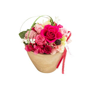 y|Cg3{ 10/30z vU[uht[ NAP[X N[ ̓ Mtg AWg  킢 v[g o KN AWTC z ̂܂܏ CeA