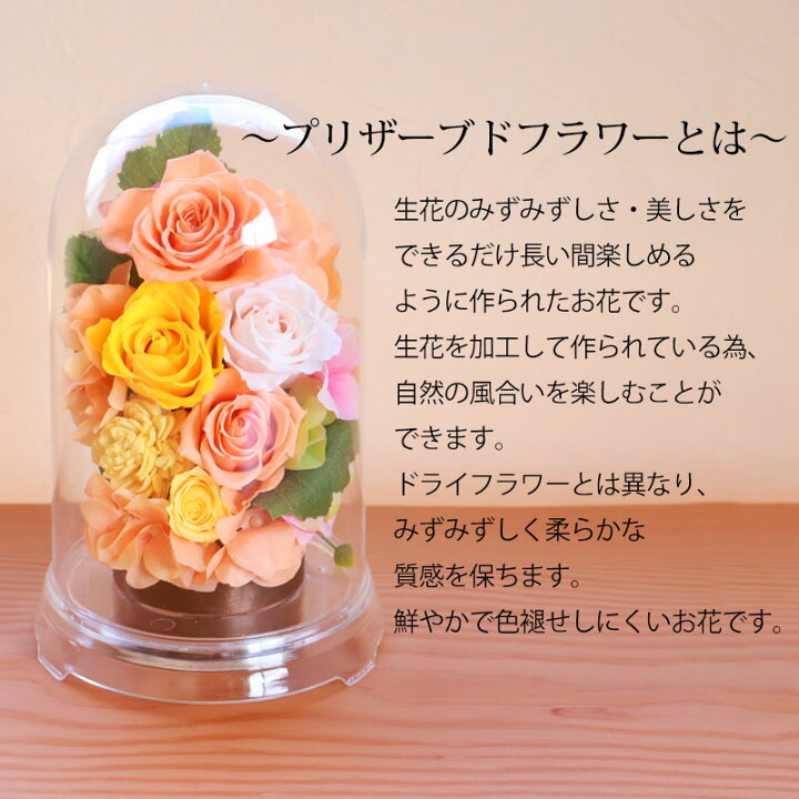 楽天市場】【10％OFF】【さらに5％クーポン 5日まで】 プリザーブド 