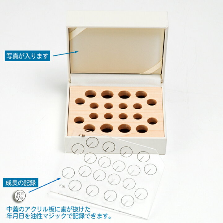 1155円 売却 乳歯 ケース TEETH BOX 白 フラワー 1155円 売却 乳歯 ケース TEETH BOX 白 フラワー
