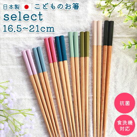 【全品ポイント5倍 19日20時〜】 お箸 子供 16.5~18cm おはし 食洗機対応 抗菌 選べるサイズ 天然木製 こども おしゃれ 子供箸 子供用 キッズ 子ども カトラリー 食器 男の子 女の子 小学校 小学生 低学年 中学年 高学年 中学生 カトラリー 持ちやすい すべり止め 滑り止め