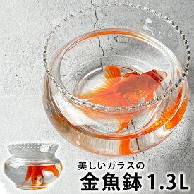 金魚鉢 おしゃれ ガラス S（1.3リットル） アクアリウム ミニ 水槽 小型水槽 ちっちゃな おしゃれ金魚鉢 金魚水槽 メダカ水槽 丸形 鉢 テラリウム 室内 容器 ガラスクリアー クリア 送料無料