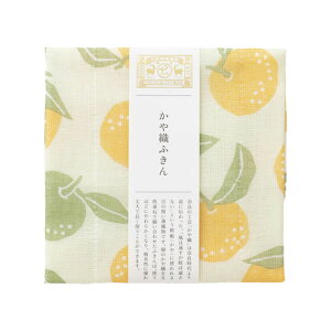 yő300~N[|Lz 쐭X Dӂ d 40×30cm 100% 5d Lb`NX @ z H@ ᒠ ␶n 킢  Mtg { bY |~ 