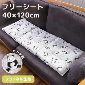 yő300~N[|Lz t[V[g NbV 40×120cm p_ 3܂ ` O V[gNbV x` \t@  㕔ȃV[g tl rO ܂肽  