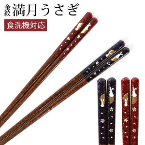  23cm 21cm VRؐ H@Ή ͂ {    ~ Ȃ i l 킢 Mtg lp j    p[v bh v[g ig 