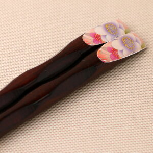 _zAEgbg^y50OFFzyő300~N[|Lz  ؐ 23cm p V   TN ͂ VRؐ l 