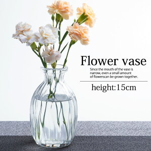 ԕr KX ֑}  t[x[X  15cm 킢 NA k ~  Ԋ  CeA  V rO Q    H