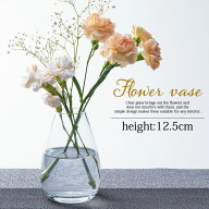 【10％OFF】【2点5％クーポン配布中】 フラワーベース 花瓶 おしゃれ ガラス 一輪挿し 12.5cm 北欧インテ…