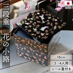 yő300~N[| 10/13܂Łz d 3i 6 18cm   d { Rh V[Wt Ԃ̏H Olp llp Oid   d    ^ Ԍ s