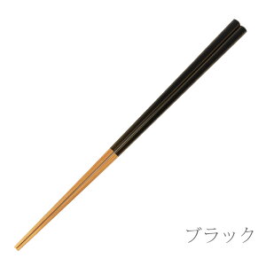 ySi|Cg5{ 9/30z H@Ή  VRؐ  Әa 23cm VA[ v[g Mtg   ͂ ͂ { Y j j ~ ׂȂ 킢 i 