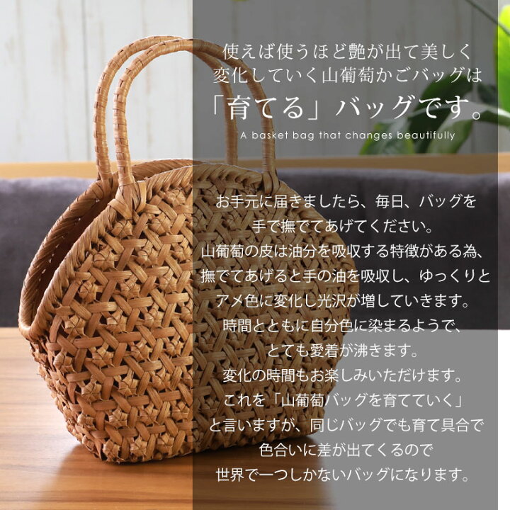 楽天市場】＼半額／【50％OFF】【さらに5％クーポン配布中】 山葡萄 