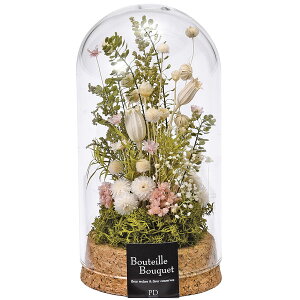 RNKXh[  AWM zCg hCt[   ͑i dp̕  pԁy20251116z