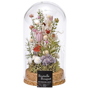 RNKXh[  AWM sN hCt[   ͑i dp̕  pԁy20251117z