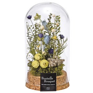 RNKXh[  AWM u[ hCt[   ͑i dp̕  pԁy20251117z