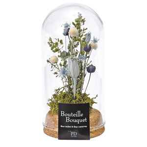 RNKXh[  AWS u[ hCt[   ͑i dp̕  pԁy20251114z