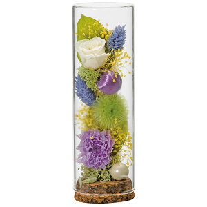 V@RNKXvU[uht[@p[v   ͑i dp̕  Ăǂ y20251124z