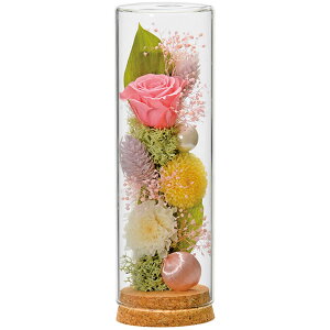 V@RNKXvU[uht[@sN   ͑i dp̕  Ăǂ y20251122z