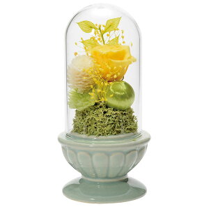 VgvU[uht[@CG[   ͑i dp̕  Ă y20251124z