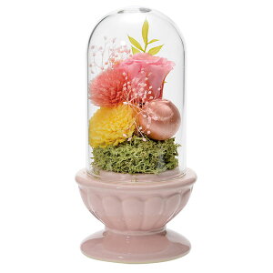 VgvU[uht[ sN   ͑i dp̕  Ă y20251122z