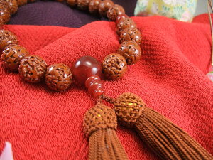 jpO  [ mEd  y20251111z