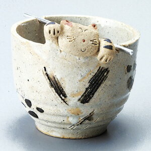 lR     葢 y20251206z