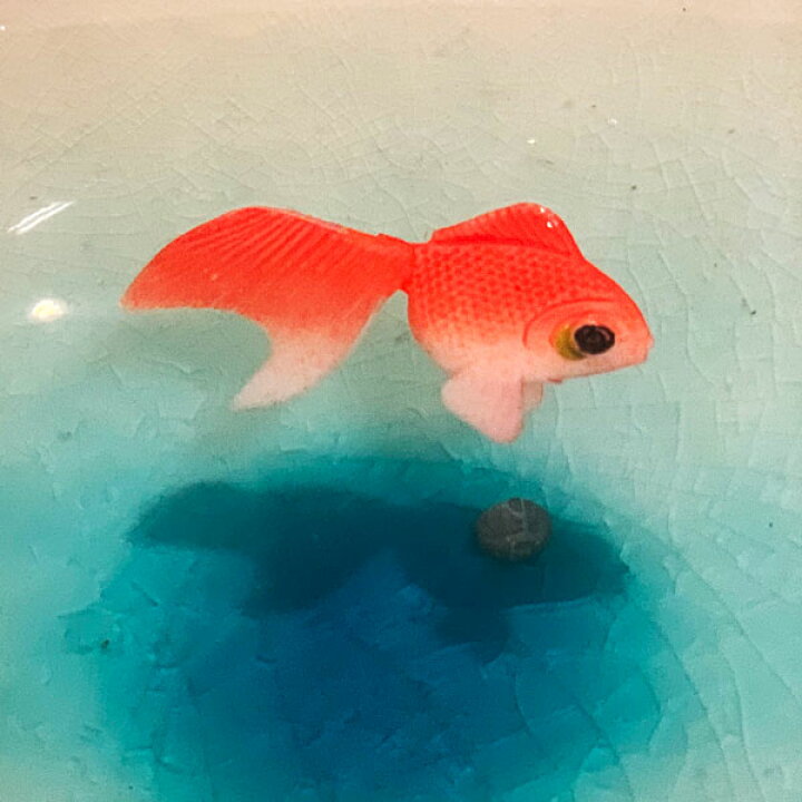 楽天市場 金魚 模造品 2匹 水草 模造品 1個 金魚鉢のセット 白雲変形鉢金魚セット プカプカ金魚 節電 節電対策 店頭受取対応商品 三好佛具店