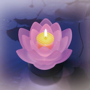 LOTUS GRACR [^XOCX tXg XC 낤 E\N [\NyKTXLh @̃LhLEDR[X^[Zbg ~ i ߓd ߓd΍ LEDd [\N Mtg p y2025