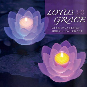 LOTUS GRACR 2Zbg [^XOCX tXg XC 낤 E\N [\NyKTXLh @̃LhLEDR[X^[Zbg ~ i ߓd ߓd΍ LEDd [\N Mtg 