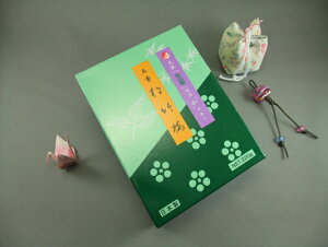 |~ ^ol E  y20251206z