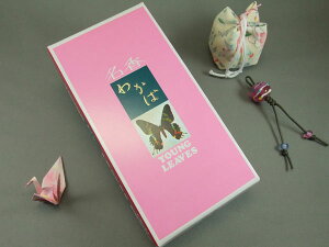 킩  唭  y20251103z