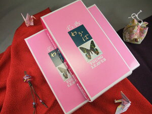 킩 3Zbg 5OFF SALE  唭  y20251103z