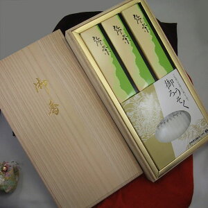 h퍁 m[\N iMtg i ԋʕdO   Mtg p y20251116z