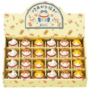 ʊG菵LfBXvCZbg 3×8 S24Zbg tq 7320 y20251102z