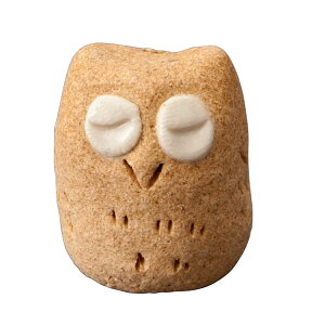 Aj}t    葢 lR ETM tNE 炵̍ y20251206z