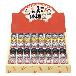 ʊG܂ߕLfBXvCZbg 6×8 S48Zbg7146 tq 7145 y20251031z