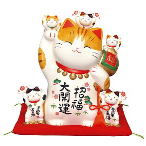 ʊGJ^L 9  ^ l tq 7503 y20251102z