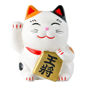 ˉL󂭂 ݂ Ƃ   ^ l SN-071  y20251201z