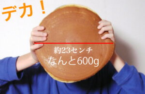 【送料無料】札幌デカどら焼きなんと600g栗入りどら焼き/特大/誕生日/父の日