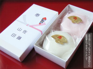 EFfBO@g i݁j21@kCYĎgp