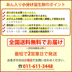 1歳の誕生日のお祝いお誕生餅セット(紅白あん餅20個入り小分け)【送料無料】リュック付き【一升餅】【楽ギフ_のし】