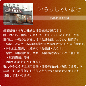 一升餅一生餅小分けあんこ1歳の誕生日のお祝いお誕生餅セット紅白あん餅20個入り一升餅小分けリュック付き送料無料