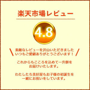 お誕生餅セット(紅白あん餅20個入り)【送料無料】リュック付き