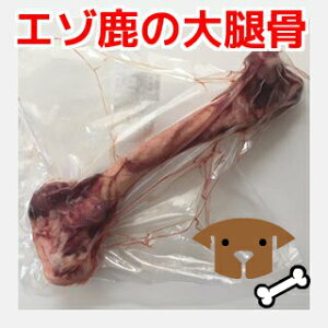 p Y G] ̑ڍ    hbOt[h ybgt[h ybg  zl   Y Y