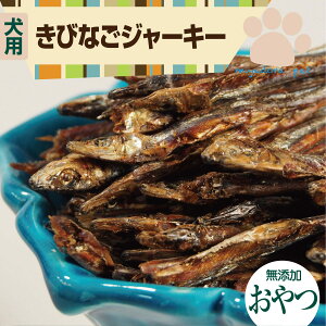 тȂW[L[ 50g тȂ LriS   Y Y  L lR ybg W[L[ Ic  v[g Mtg J[ AM[ VjA ^